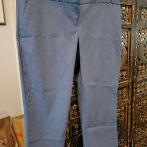 Very Pretty Ankle Length Pants - I will include the A&F Blouse Size Large